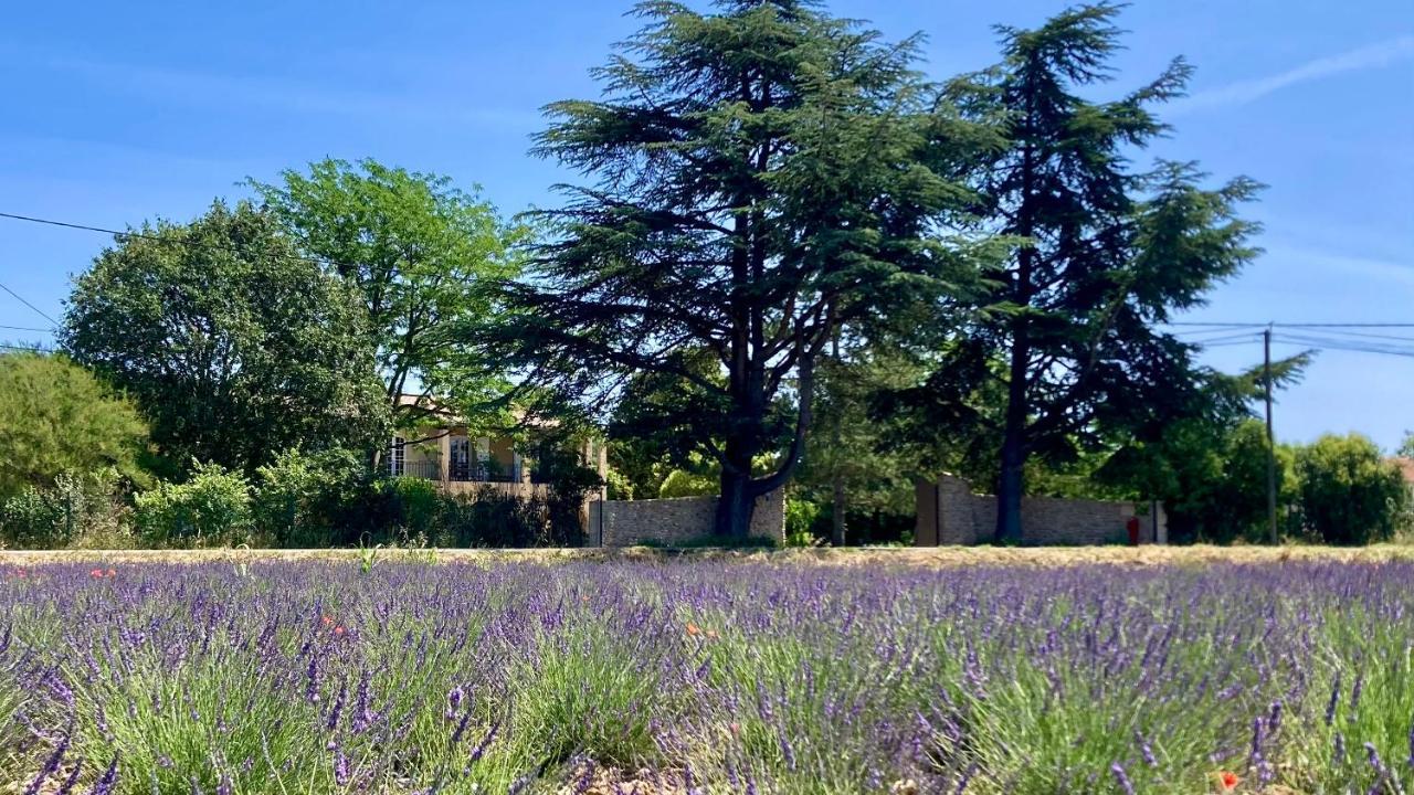 Gite Harmonie Gréoux-les-Bains Exterior foto